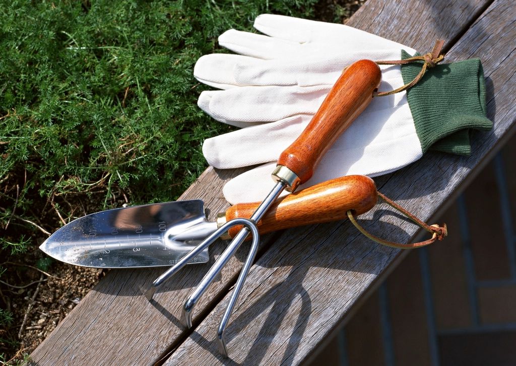 Seasonal clean-up