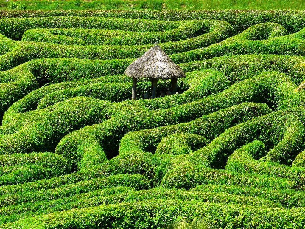 Formal hedge sculpting