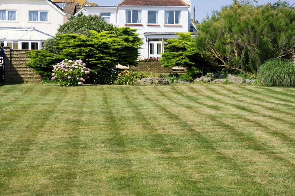 Striped lawn renovation