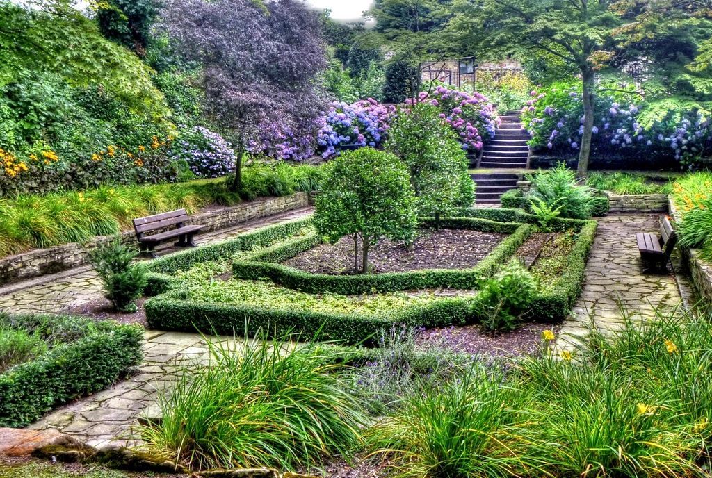 Backyard patio garden