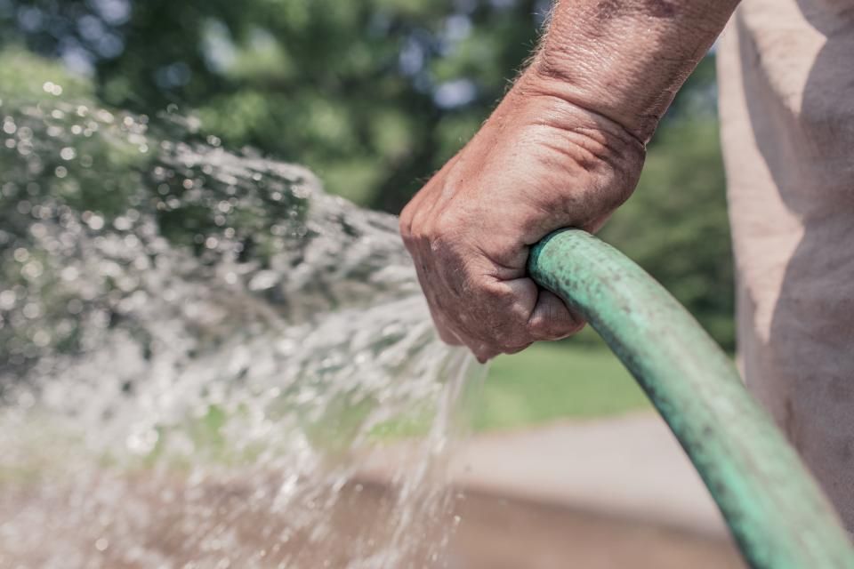 Watering plan & irrigation check