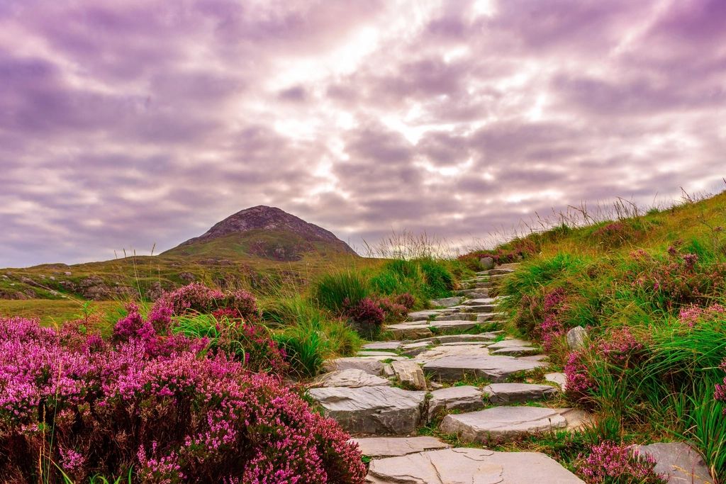 Natural stone garden path