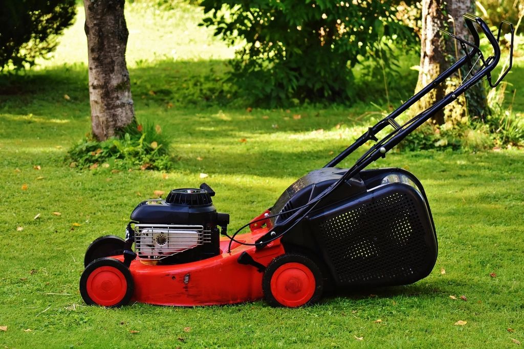 Watering plan & irrigation check