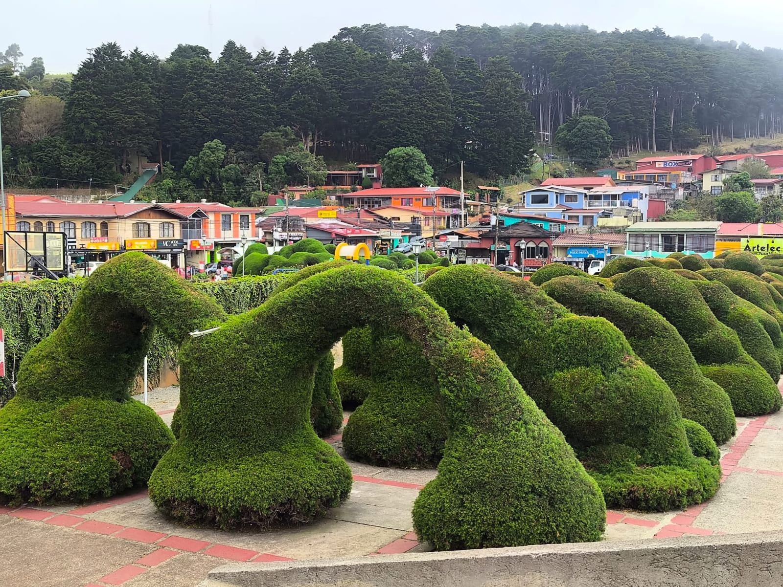 Formal hedge sculpting